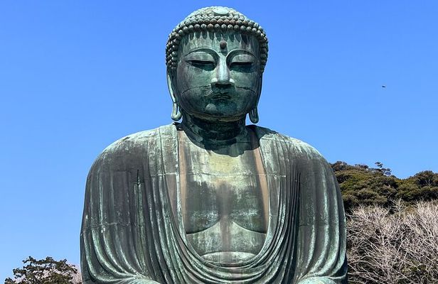 Kamakura and Enoshima Tour with Vehicle and Guide