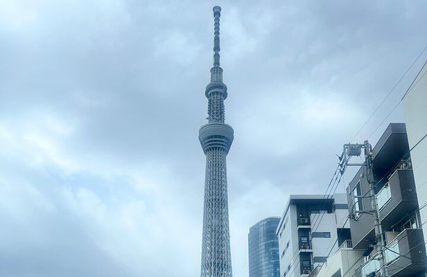 English-speaking guided day tour of Tokyo with a private vehicle