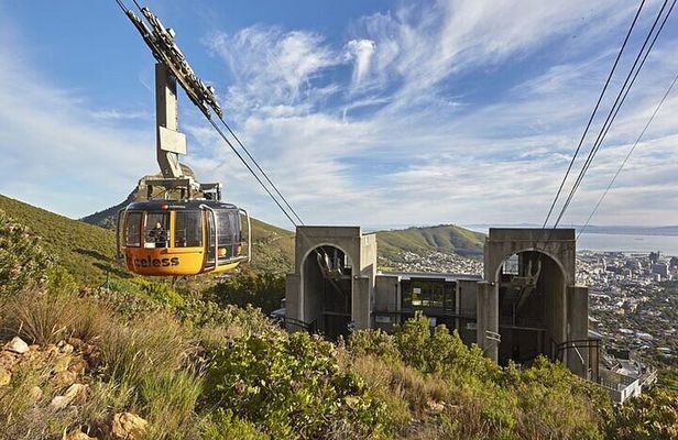  Exploration of Wonders Cape Town Nature City and Wine in 3 Days