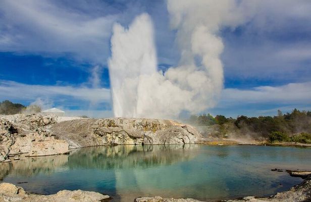 Port of Tauranga, Te Puia/Redwoods TreeWalk Glowworms/Hells Gate 