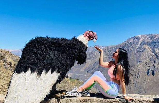 Arequipa: Colca Canyon Full Day - Ending in Arequipa