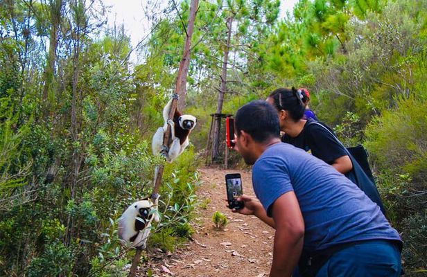 Day Tour from Tana: to Mantasoa Lake & Nosy soa Park