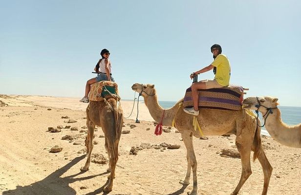 Dakhla Camel Ride Experience