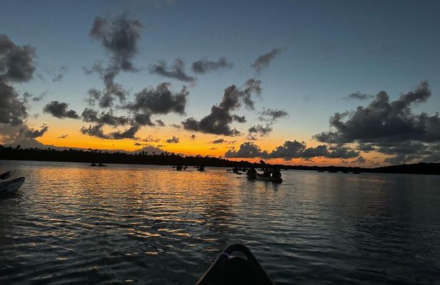 Laguna Grande Night Kayaking Bio Bay