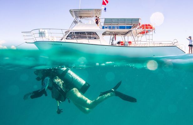 Scuba Diving for Non-Certified in Vieques Island