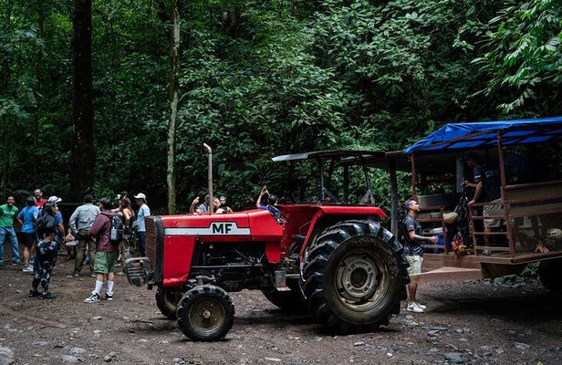 Party Safari Tractor Tour with Visit the waterfall