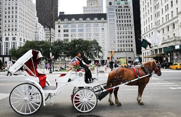 Central Park Horse Carriage Ride