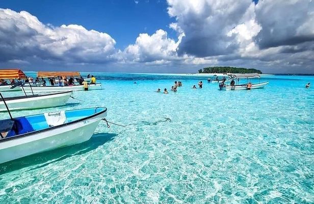 Mnemba Snorkelling and Dolphin Tour in Nungwi