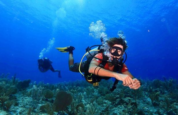 Tulum Diving (Reef) 2 Tanks