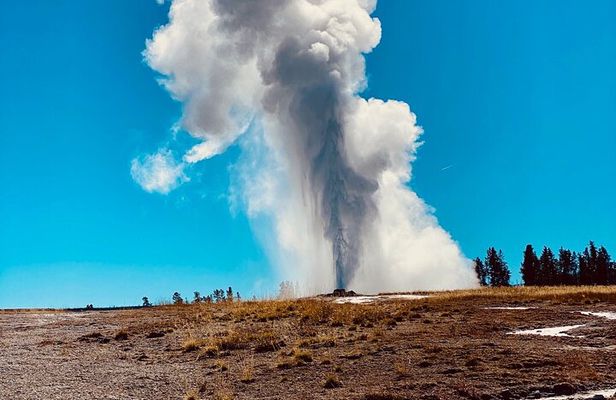 Private Lower Loop Tour of Yellowstone National Park