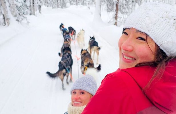 Adventure Awaits Dog Sledding on Stunning Alaskan Trails