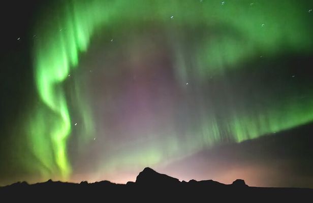 Reykjavik Northern Lights Evening Adventure Guided Tour 
