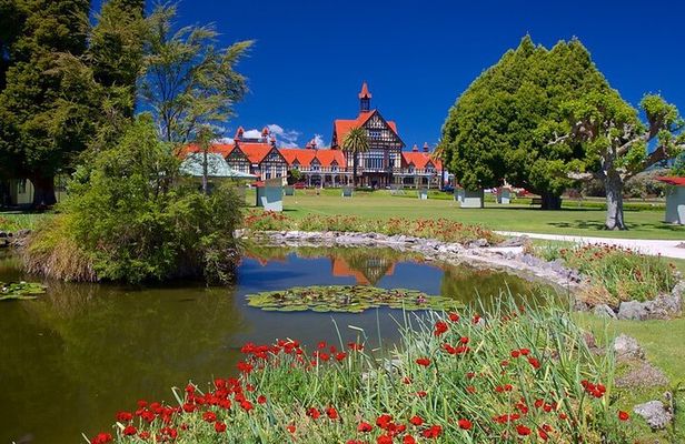 Ports of Tauranga/Rotorua/Tga - 6 Hours Rotorua Highlights Tour
