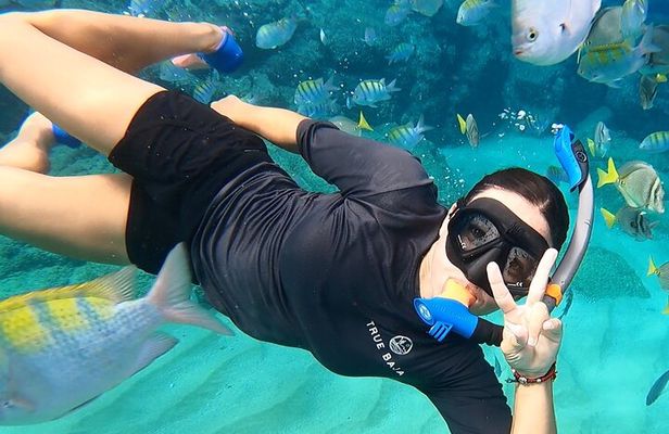 Snorkeling On Chilean Beach Transportation And Drinks Included
