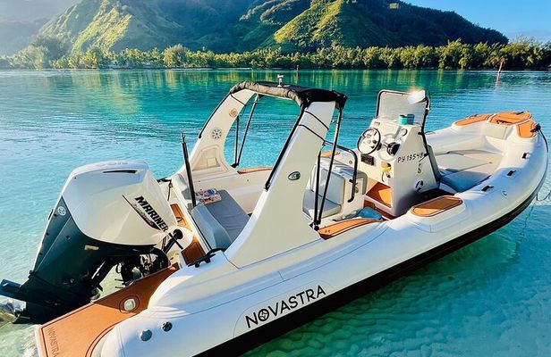 Moorea: Private 4-Hour High-End Boat Excursion