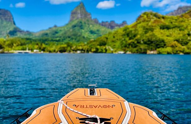 Moorea: Private 4-Hour High-End Boat Excursion
