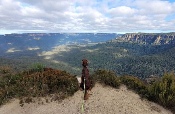 MPT - Blue Mountains Luxury Private tour