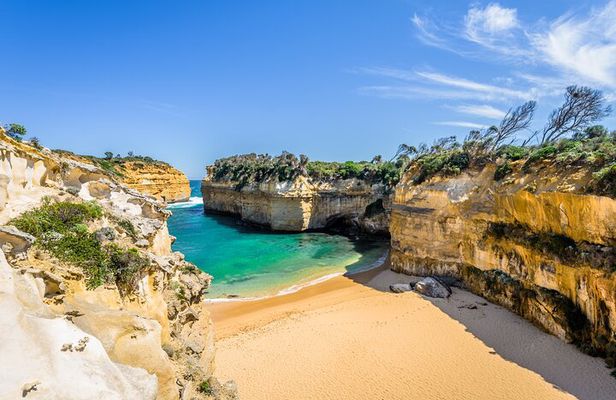 Melbourne: Private Great Ocean Road & 12 Apostles Tours