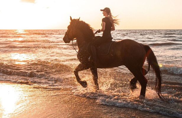 Beach Horse Riding Dubai with Transfers