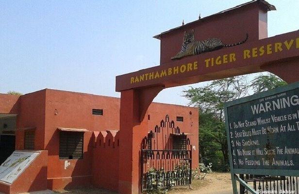 Jaipur to Ranthambore Day Trip with Tiger Safari