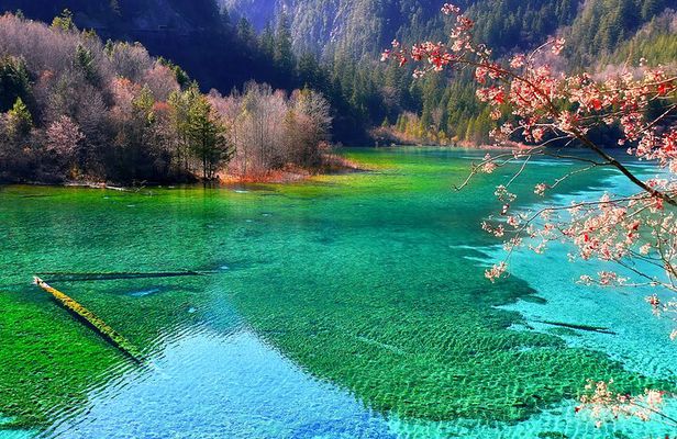 Three-day private tour to Jiuzhaigou by high-speed rail