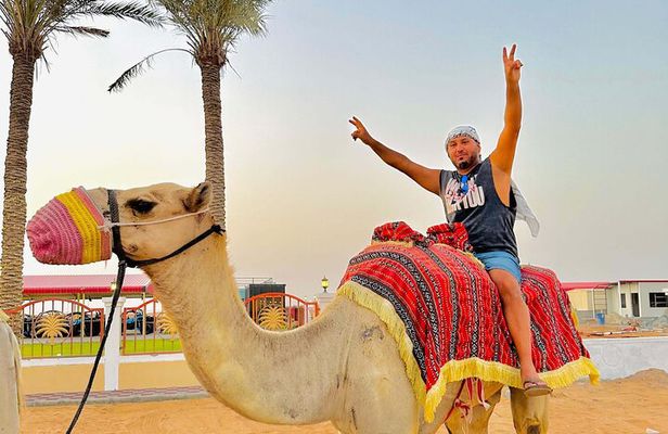 Private Morning Desert Safari With Sandboarding and Camel Ride