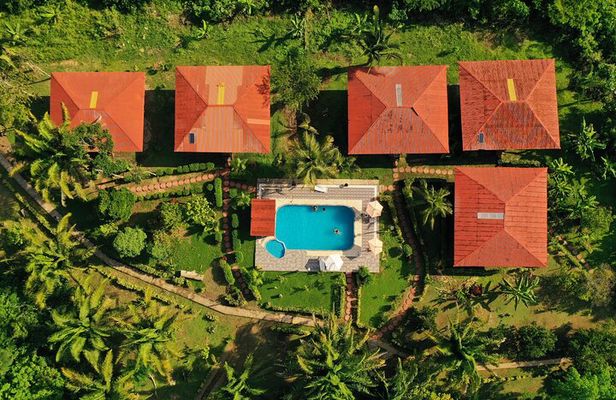 3-Day Tour of Sandoval and Collpa de Parrots