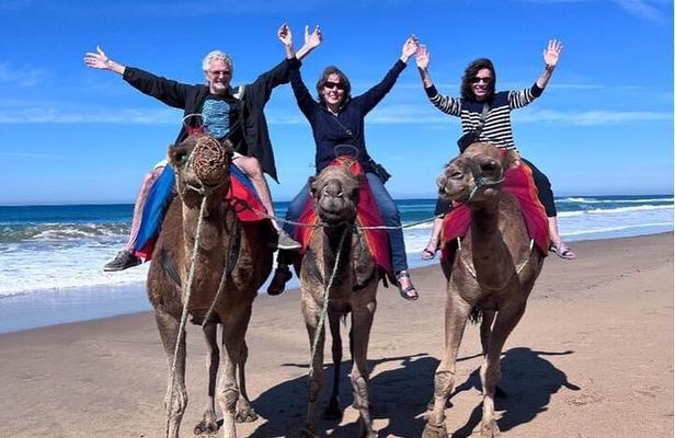 Luxury Tangier Private Full Day Tour from Gibraltar All Inclusive