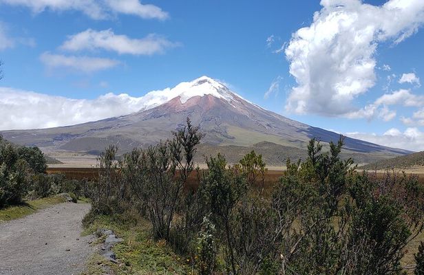 Cotopaxi Volcano Full-Day Tour from Quito