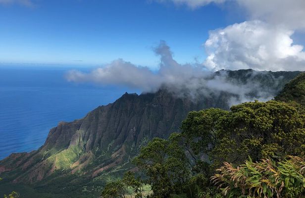 Private Kauai Island Tour : Waimea Canyon, Kalalau Lookout + More