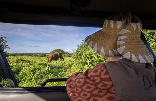 9 Days Tanzania Big Five Safari and Zanzibar Beach Holiday