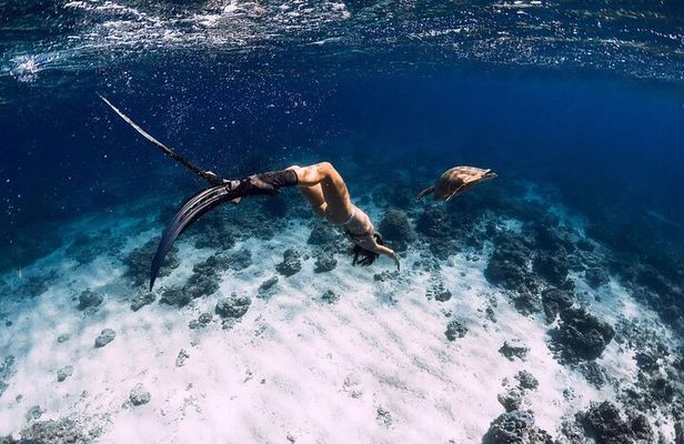 Gili Trawangan : Private Snorkeling with 3 spots or 4 spots