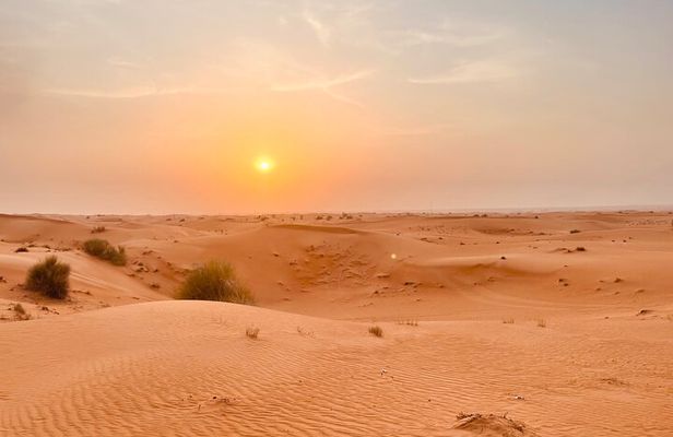 Experience the Ultimate Dubai Red Dunes Desert Safari BBQ Dinner