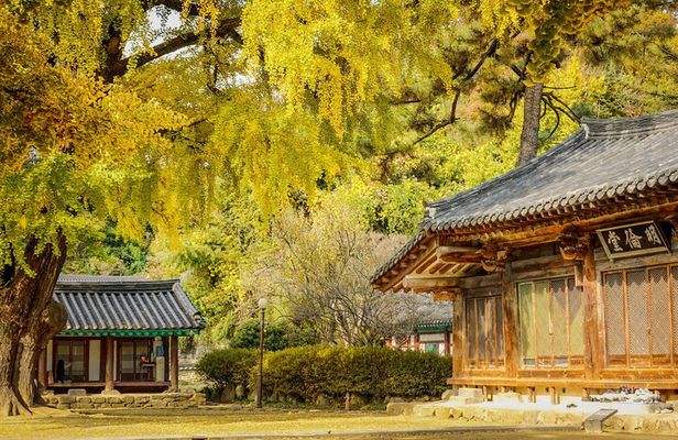 Jeonju Hanok Village Full-Day Tour: Jangtaesan Autumn Foliage