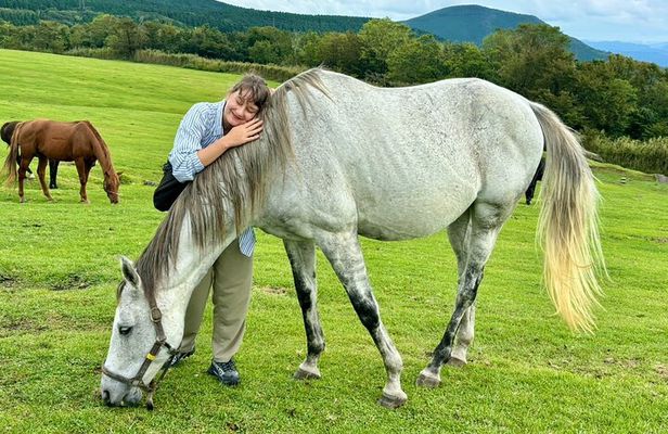 Pasture Hike with Horse Whisperer at Horse Trust in Kagoshima