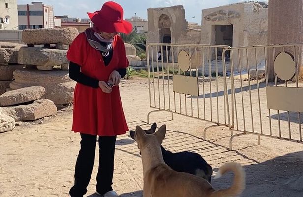 Alexandria Private tour from Cairo-10%to stray animals of Egypt