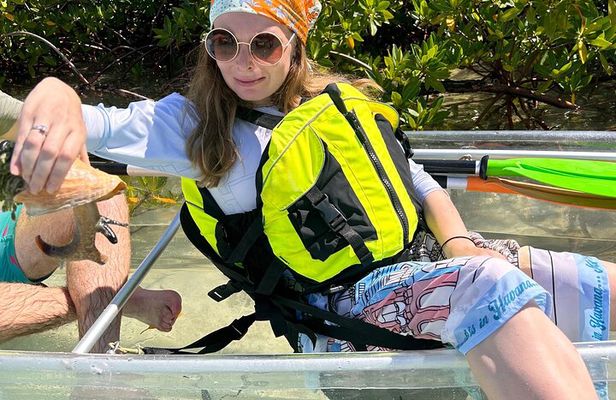 Providenciales Clear Kayak Mangrove & Turtle Eco Tour