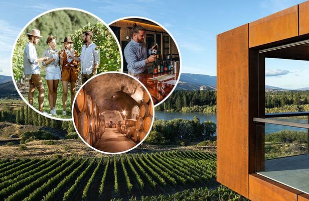 Central Otago Wine Tour with Wine Dog | Adults Only
