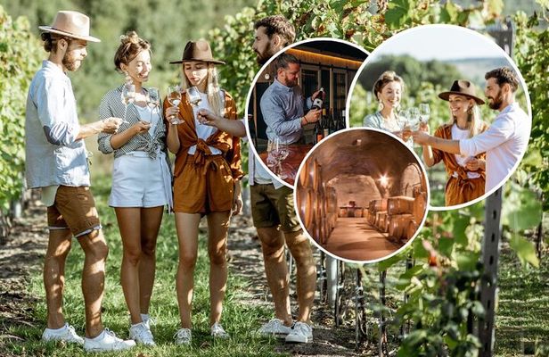 Queenstown Wine Tour with Wine Dog | Adults Only