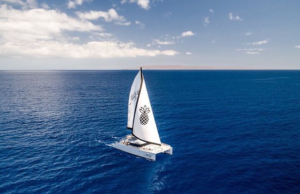 Luxury Catamaran Royal Sunset Dinner Sail (Adults-Only)