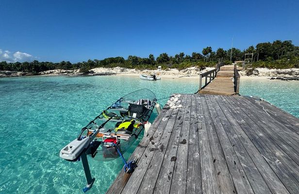 Electric Powered Clear Boat Mangrove Eco Tour