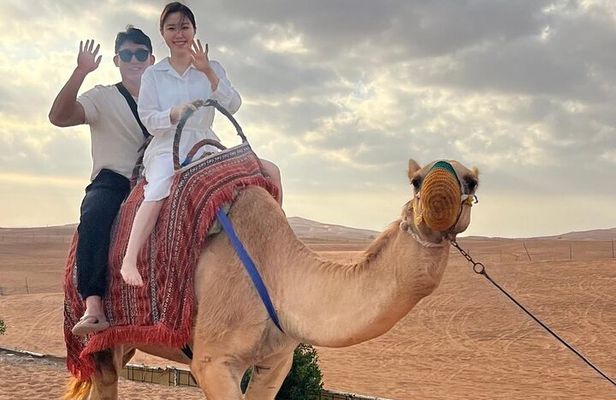 Private Morning Desert Safari With Camel Ride