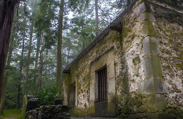 Discover Hiking Trails and a Convent in Desierto de los Leones 