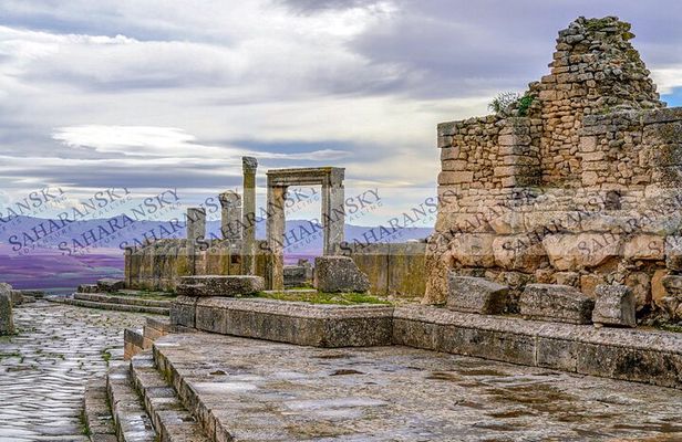 Dougga and Bulla Regia Via Testour + Lunch Small-Group Tour