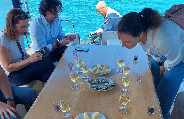 Dubrovnik Oyster Tasting Tour: Wine and Oysters on the Pelješac