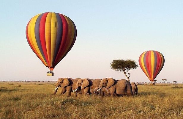 6 Days Group Safari in Mara, Nakuru and Amboseli, Ugraded lodges