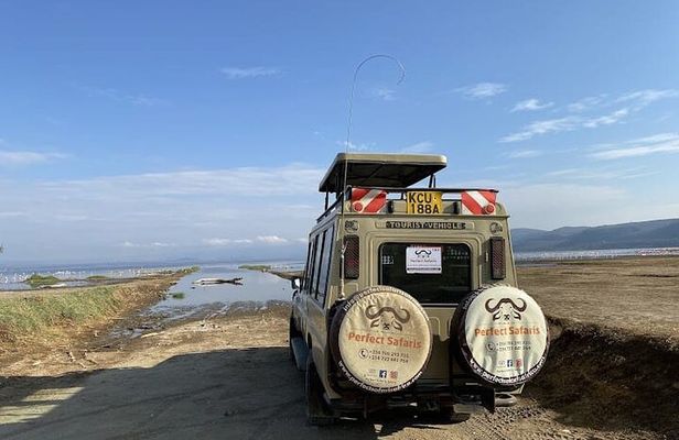 7 Days Safari Masai Mara Nakuru and Amboseli in Upgraded hotels