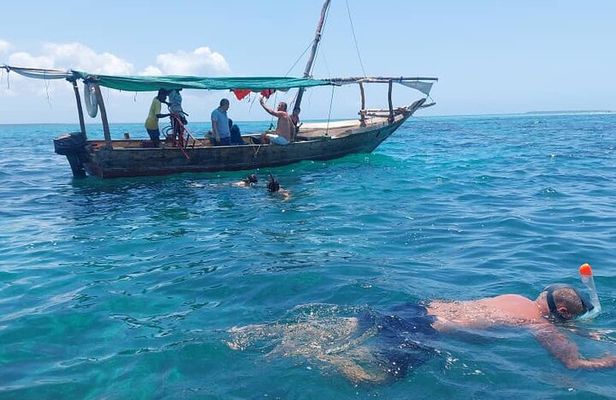 Private Full Day Safari Blue Tour