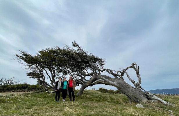 Tour Adventure Puerto Almanza Nature Delights of the Beagle