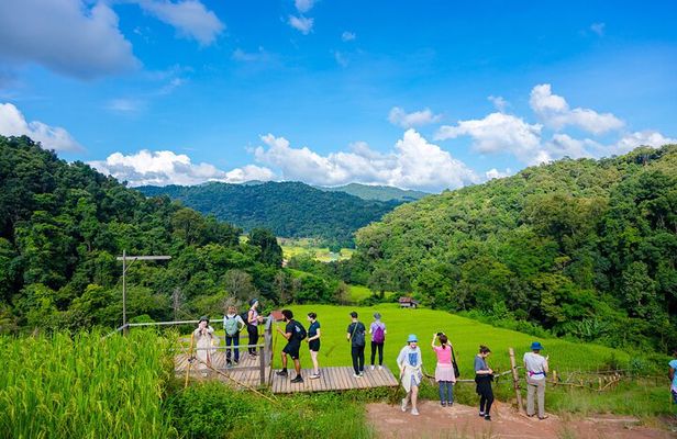 Pha Dok Siew Nature Trail & Doi Inthanon National Park From Chiang Mai